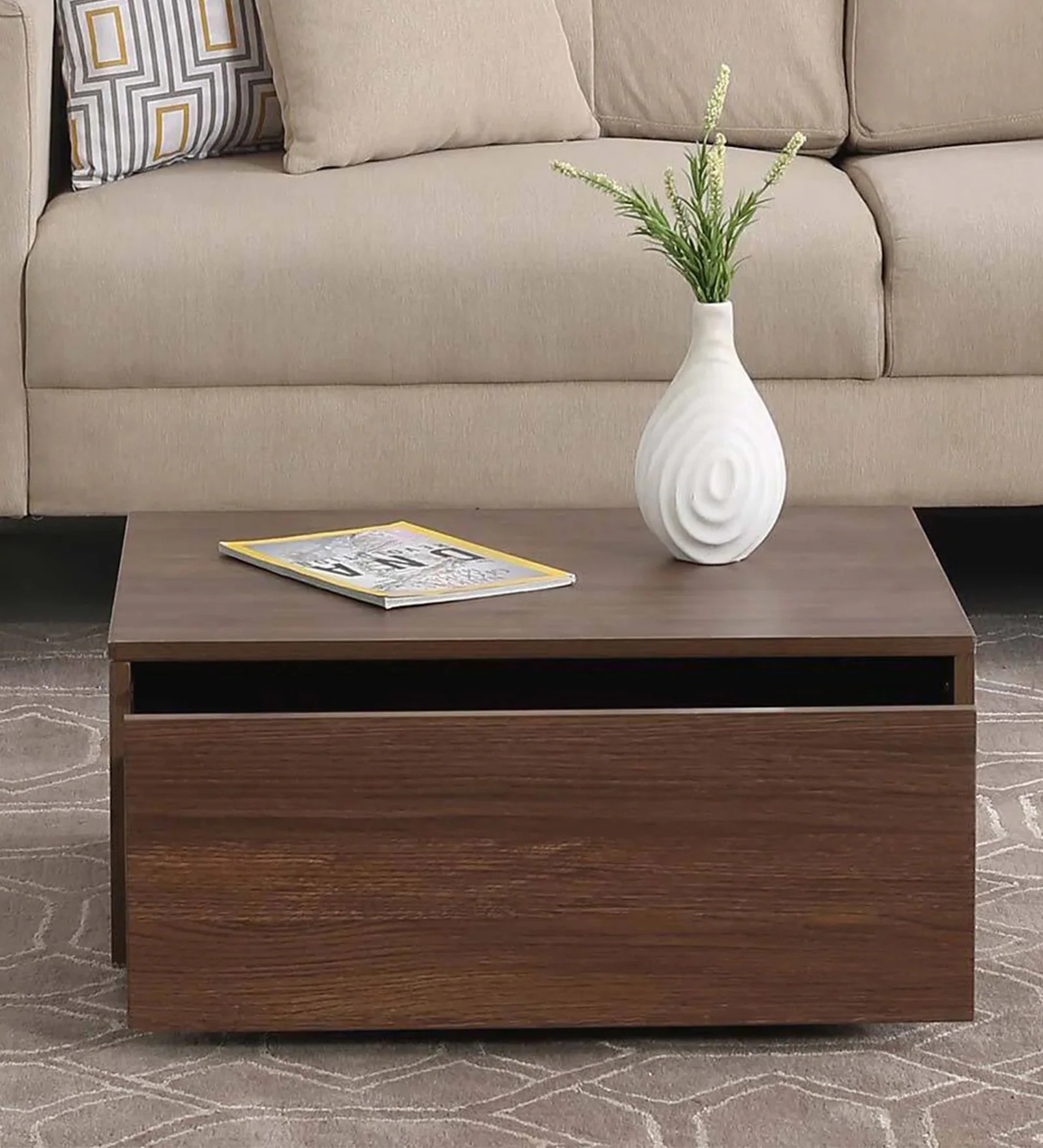 Swani Furniture Jacinta Coffee Table in Brown Colour with Storage – Modern Wooden Center Table
